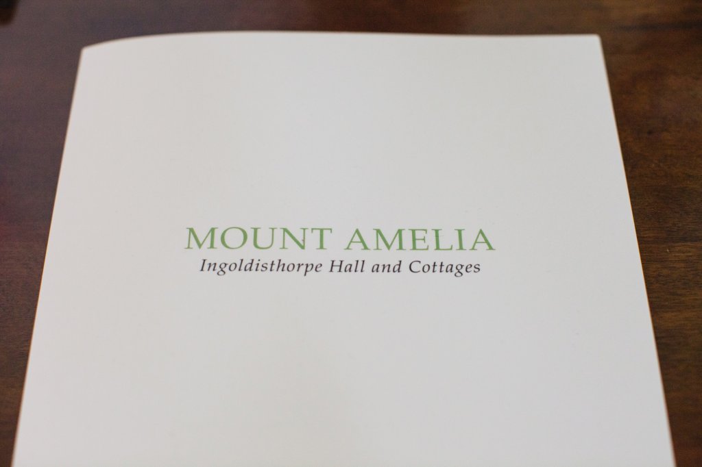 Mount Amelia Wedding