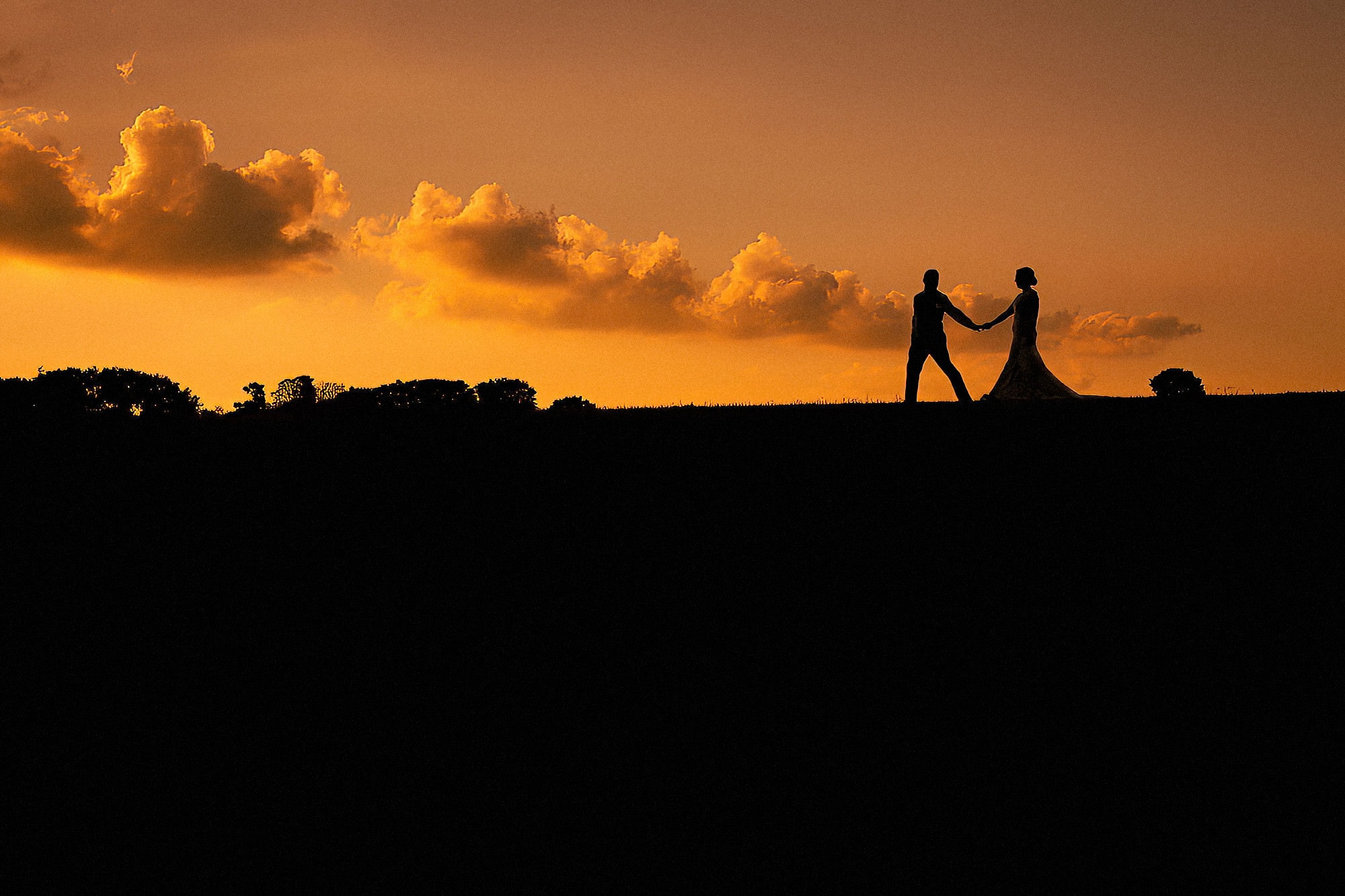 bride and groom at henham park at sunset walking across a field